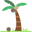 Palm Tree